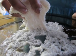 Marshmallow Science and the mess that ensued...