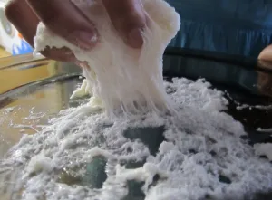 marshmallow science