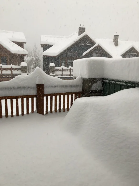 snow front.jpg