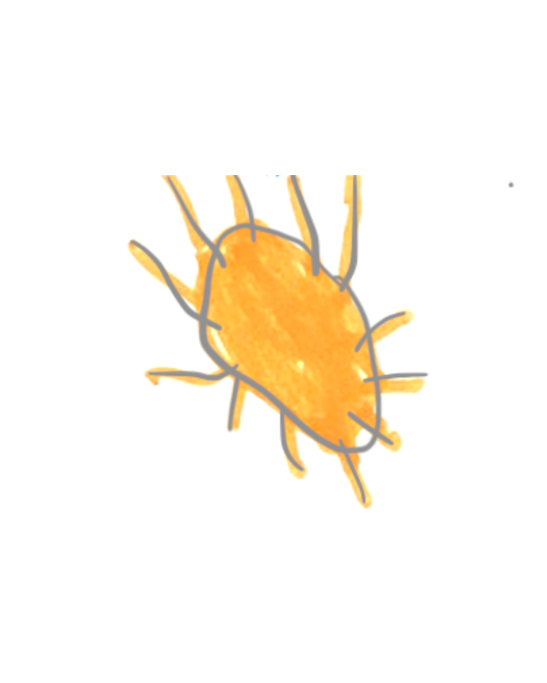Untitled design (1)