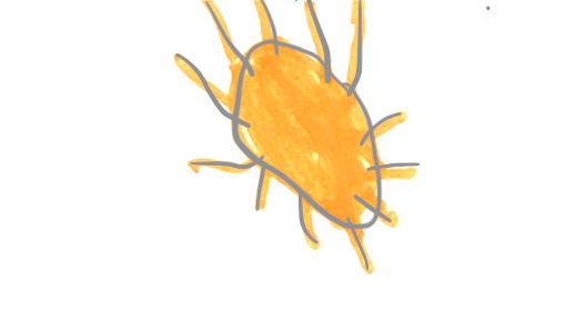 Wills Little Sun